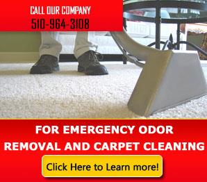 Residential Upholstery Cleaning - Carpet Cleaning Richmond, CA