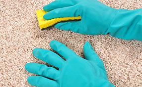 Commercial Carpet Cleaning